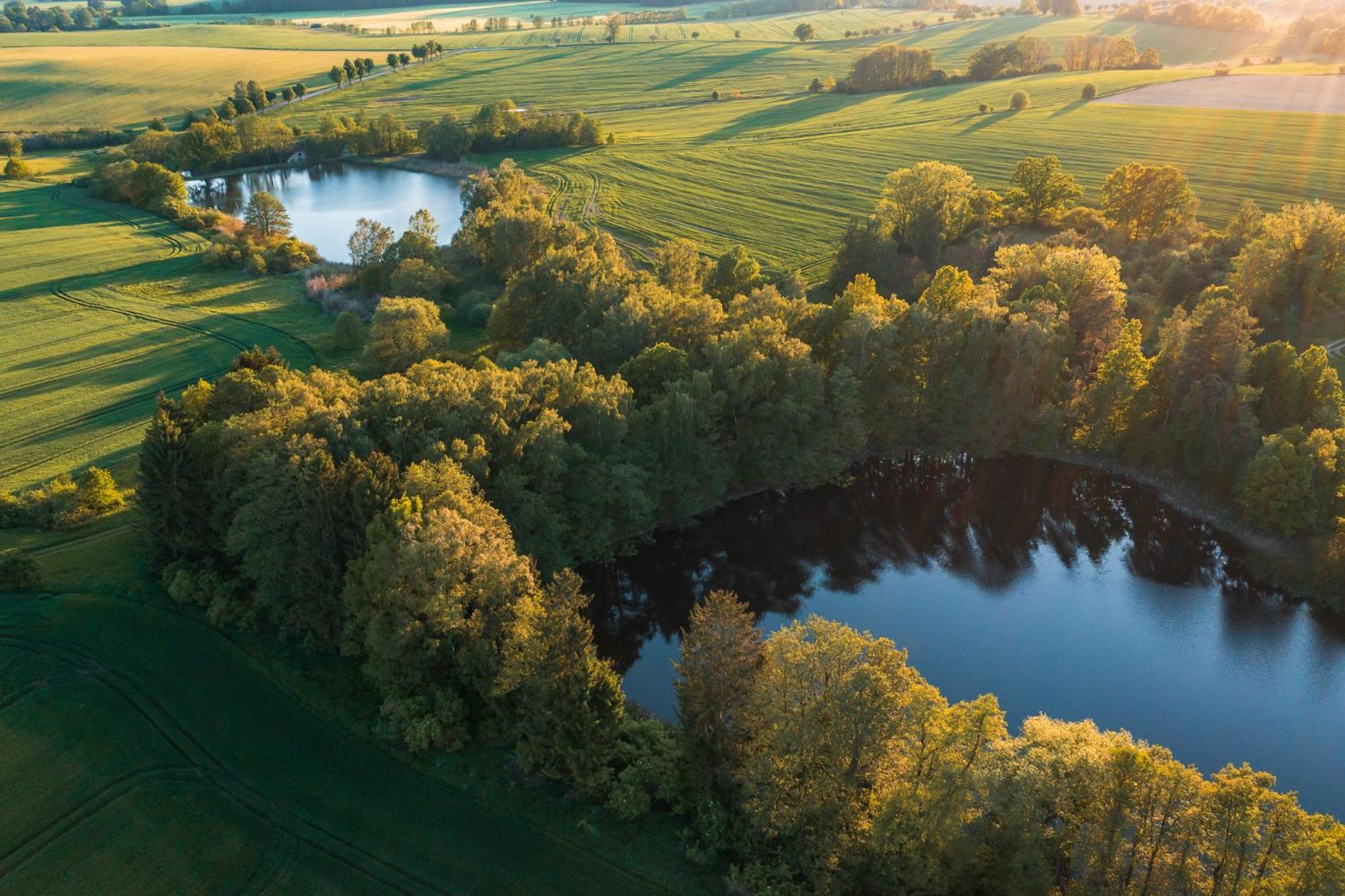 Treehouse Tucapy Hotell Eksteriør bilde