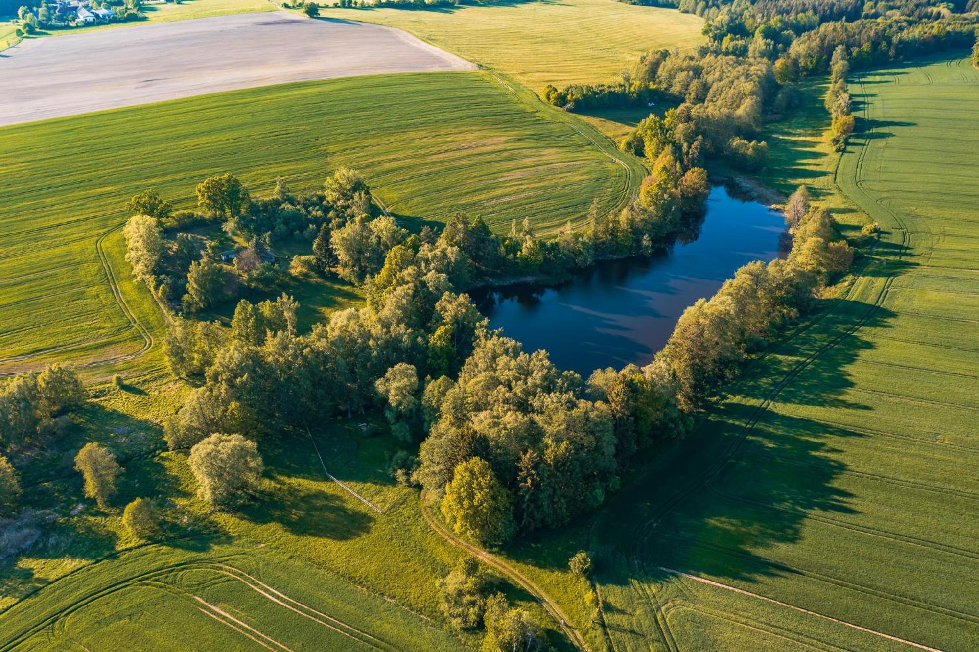 Treehouse Tucapy Hotell Eksteriør bilde